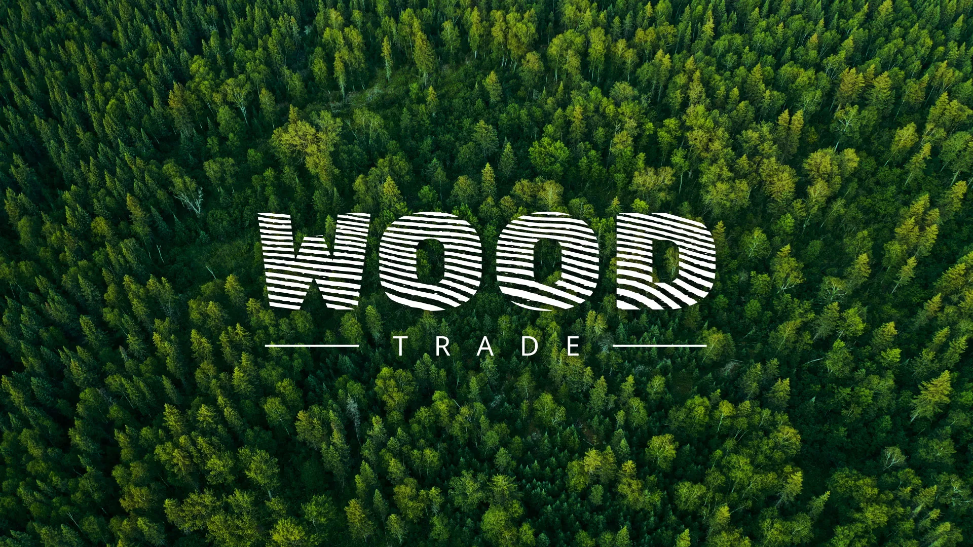 Разработка интернет-магазина компании «Wood Trade» в Буйнакске